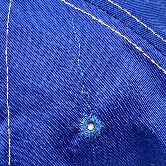 1998 Looney Tunes Tweety Bird Hat Cap Embroidered Blue Strapback Vintage - Picture 7 of 13